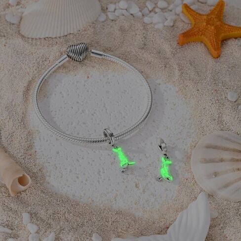 Glow-in-the-Dark Orca Silver Plated Charm, Exquisite Decorative Bead Compatible with Classic Bracelets in Kuwait