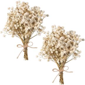 Dried Baby's Breath Bouquet, Pure Pink 6"-7.8" Portable Mini Gypsophila Flowers, 2000+ Natural Preserved Flowers for Wedding Home Decor DIY Crafts Vase Filler Wreath Card Making in Saudi Arabia