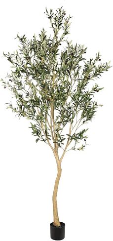 Realead 6ft Artificial Olive Tree, Tall Faux Olive Tree Plants, Fake Potted Olive Silk Tree with Branches and Fruits, Artificial Trees for Modern Home Office Living Room Floor Decor Indoor (72in) in Saudi Arabia