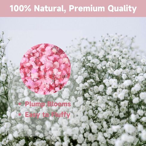 Dried Baby's Breath Bouquet, Pure Pink 6"-7.8" Portable Mini Gypsophila Flowers, 2000+ Natural Preserved Flowers for Wedding Home Decor DIY Crafts Vase Filler Wreath Card Making in Kuwait
