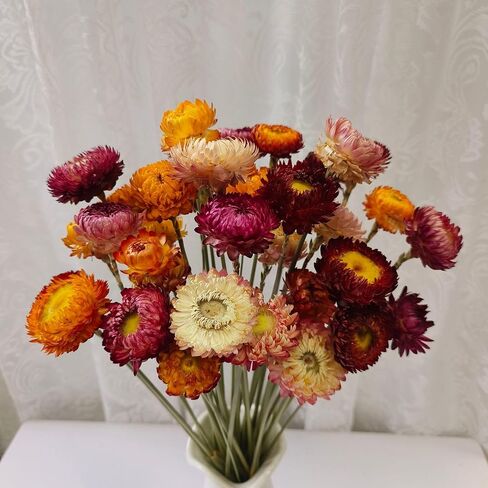 Natural Edible Dried Mixed Flowers, 100pcs+ Chrysanthemums for Cake Decoration, Cocktail Garnish, Tea in Kuwait