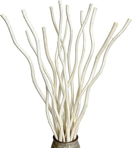 Dried Curly Willow Branches, 15 Stems Dried Twigs Sticks 18-19" Decorative 100% Natural Birch Branches for Vases, DIY, Floral Arrangement, Centerpiece, Rustic Home Decor, Beige in Saudi Arabia