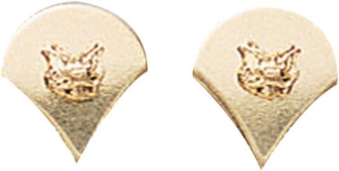 مجموعة شارة القوات الخاصة Spec-4 باللون الذهبي المصقول (1648) in Kuwait