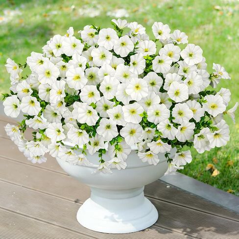 20 Bundles Artificial Flowers for Outdoors, Fake Flower UV Resistant Silk Morning Glory Petunias Eucalyptus Faux Plants for Outside Planter Vase Garden Yard Porch Window Home Decor, Multicolor in Saudi Arabia