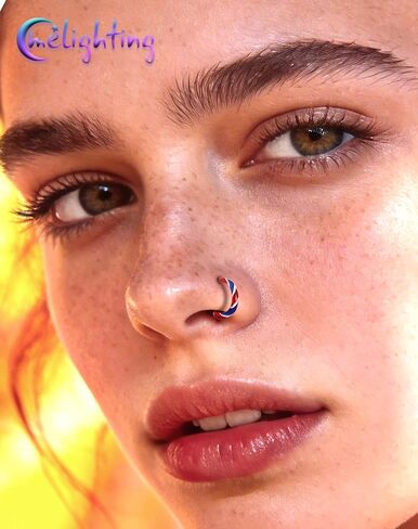 Melighting 20G Colorful Nose Ring Hoop, 7/8 mm Gold Nose Piercing Jewelry Stainless Steel 316L, Cute Hinged Segment Clicker Lobe Helix Cartilage Piercing for Women Daily Wear in Kuwait