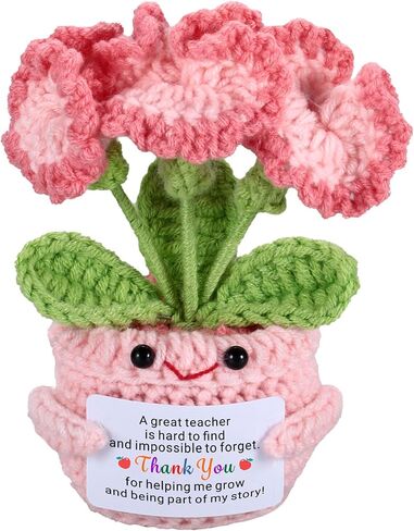 Teacher Appreciation Gifts for Women Men - Teacher Appreciation Thank You Flower Crochet Retirement Gifts for Woman Man, End of Year Daycare Music Teacher Gifts for Women Men Christmas Valentines Gift in Kuwait