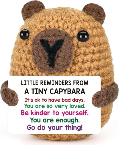 Positive Capybara Fathers Day Birthday Gift for Men Women, Back to School Gifts for Students Teen Boy Girl, Stress Relief Little Reminders Gifts for Friends Coworker, Crochet Cheer Support Capybara in Saudi Arabia