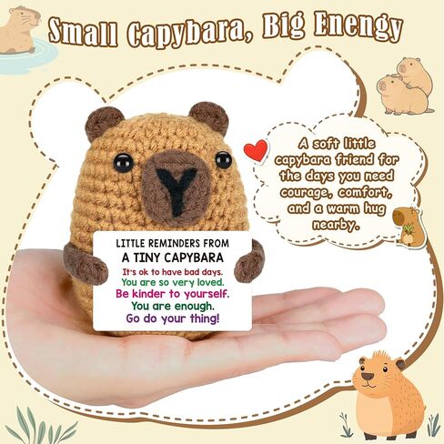 Positive Capybara Fathers Day Birthday Gift for Men Women, Back to School Gifts for Students Teen Boy Girl, Stress Relief Little Reminders Gifts for Friends Coworker, Crochet Cheer Support Capybara in Saudi Arabia
