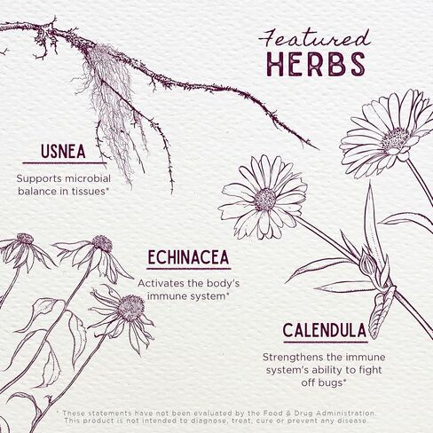 WishGarden Herbs Kick-It Biotic Immune Hero for Kids - Plant-Based Herbal Biotic Formula with Usnea Lichen & Echinacea, Supports Healthy Immune and Respiratory System Function, Immune Booster, 2oz in Kuwait