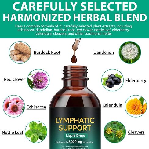 Lymphatic Drainage Drops for Lymphatic Cleanse & Immune Support,Lymphatic Drainage Supplements with Echinacea, Dandelion, Elderberry, Cleavers, Astragalus, Burdock & More Organic Lymphatic Drops 60ml in Saudi Arabia