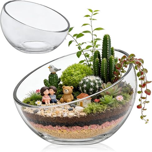 2Pack Slant Cut Bowl, Glass Terrarium, Glass Fish Bowl Vase, Flower Vase Centerpiece, Candy Dish, Fruit Jar (Big: Open 8.5" Height 6" x 3" ; Small: Open 5.75" Height 4" x 2") in Saudi Arabia