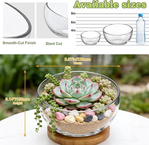 2Pack Slant Cut Bowl, Glass Terrarium, Glass Fish Bowl Vase, Flower Vase Centerpiece, Candy Dish, Fruit Jar (Big: Open 8.5" Height 6" x 3" ; Small: Open 5.75" Height 4" x 2") in Saudi Arabia