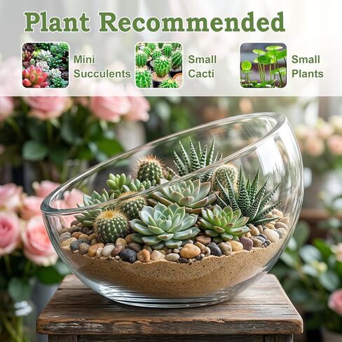 2Pack Slant Cut Bowl, Glass Terrarium, Glass Fish Bowl Vase, Flower Vase Centerpiece, Candy Dish, Fruit Jar (Big: Open 8.5" Height 6" x 3" ; Small: Open 5.75" Height 4" x 2") in Saudi Arabia