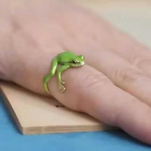 Frog Ear Cuff Earrings for Women Green Frog Earrings in Saudi Arabia