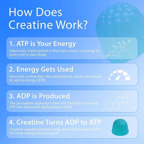 Creapure Creatine Gummies 5G per Serving with L-Taurine, Blueberry, 120 Count, Muscle Growth, Strength, Recovery and Energy Supplement, Vegan, Sugar Free, Men and Women, 30 Servings in Kuwait