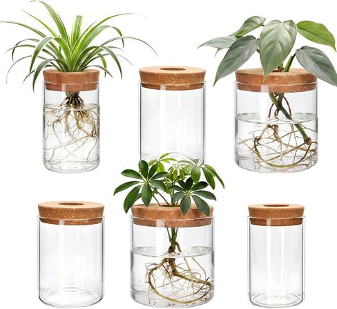 6Pcs Glass Plant Propagation Stations, Desktop Flower Vases, 3 Size Hydroponic Glass Container Vase (2 Large & 2 Medium & 2 Small) for Plant Cuttings, Desks, Houses, Living Room, Bedroom, Office Decor in Saudi Arabia