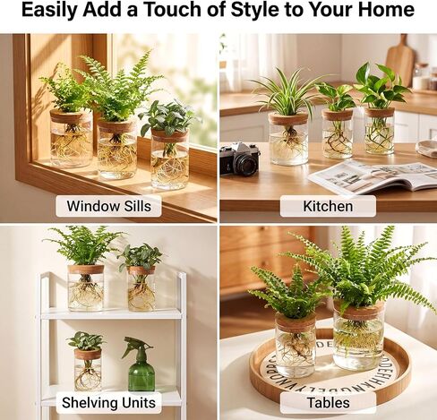 6Pcs Glass Plant Propagation Stations, Desktop Flower Vases, 3 Size Hydroponic Glass Container Vase (2 Large & 2 Medium & 2 Small) for Plant Cuttings, Desks, Houses, Living Room, Bedroom, Office Decor in Saudi Arabia