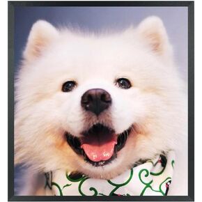 إطارات صور ZGCTSM مقاس 17 × 18 من الخشب الصلب مقاس 17 × 18 بوصة إطار ملصق للجدار مقاس 17 × 18 بوصة إطارات صور عائلية باللون الأسود (C22B1718) in Kuwait