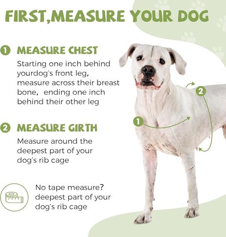 Quick Release Imitation Cotton Harness and Leash Set - Stylish Gray and Green Combination for Comfortable and Secure Dog Walks（Large） in Kuwait