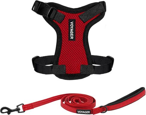 Voyager Step-in Lock Adjustable Cat Harness w. Cat Leash Combo Set with Neoprene Handle 5ft - Supports Small, Medium and Large Breed Cats by Best Pet Supplies - Red/Black Trim, XXS in Saudi Arabia