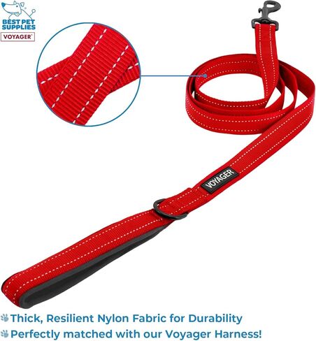 Voyager Step-in Lock Adjustable Cat Harness w. Cat Leash Combo Set with Neoprene Handle 5ft - Supports Small, Medium and Large Breed Cats by Best Pet Supplies - Red/Black Trim, XXS in Saudi Arabia