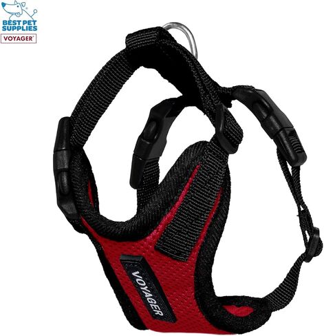 Voyager Step-in Lock Adjustable Cat Harness w. Cat Leash Combo Set with Neoprene Handle 5ft - Supports Small, Medium and Large Breed Cats by Best Pet Supplies - Red/Black Trim, XXS in Saudi Arabia