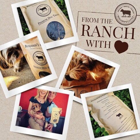Benjamin's Cattle Single Ingredient - Organic Grass FED & Finished Beef Liver Dog Treats - Hand Made Artisan Dog Treats - Healty Dog Chews - Treats for Dogs Made in USA - Beef Jerky Dog Treat – 5oz in Saudi Arabia