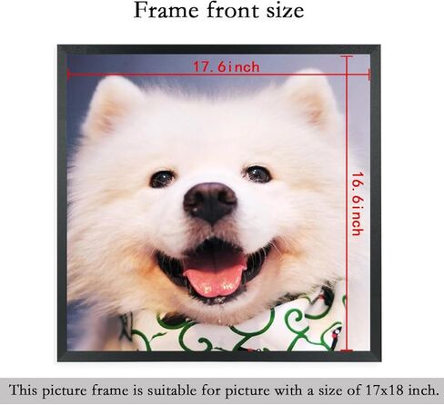 إطارات صور ZGCTSM مقاس 17 × 18 من الخشب الصلب مقاس 17 × 18 بوصة إطار ملصق للجدار مقاس 17 × 18 بوصة إطارات صور عائلية باللون الأسود (C22B1718) in Kuwait