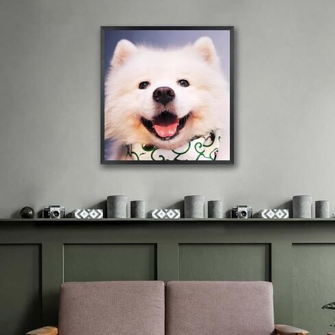 إطارات صور ZGCTSM مقاس 17 × 18 من الخشب الصلب مقاس 17 × 18 بوصة إطار ملصق للجدار مقاس 17 × 18 بوصة إطارات صور عائلية باللون الأسود (C22B1718) in Kuwait