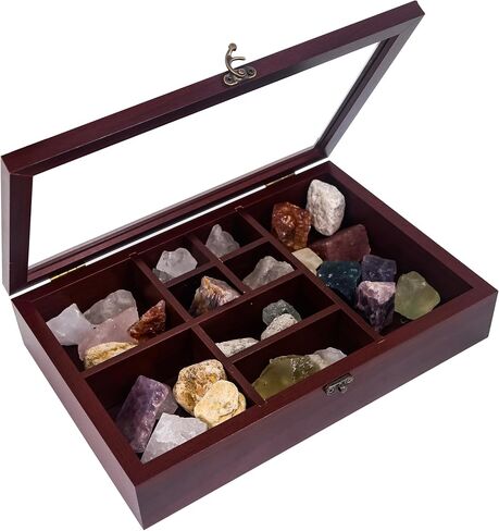 FramePro Rock Collection Box for Kids, Rock Display Case with Shelves, Wooden Display Case with Real Glass Lid for Rock, Onyx Storage, Crystal, Fossil, Artifact, Seashells (Black) in Saudi Arabia