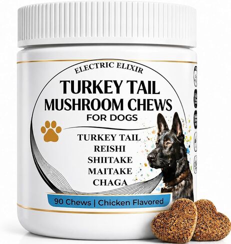 Dogs Immune Support Mushroom Supplement - Supports Longevity, Cognition, Joint, Cellular & Gut Health - All Natural Organic, GrainFree - Buddy Guard for Lumps and Bumps, Chicken Flavor - 90 Chews in Saudi Arabia
