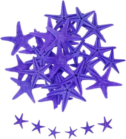 uxcell 30Pcs Starfish for Craft, 0.4"-0.8" Small Natural Starfish Sea Star Crafting Seashells Bulk for Wedding Beach Theme Party Decorations Home Vase DIY Crafts Decor, Pink in Kuwait