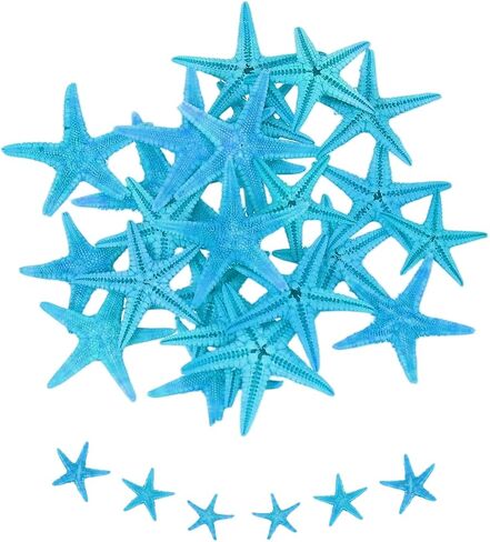 uxcell 30Pcs Starfish for Craft, 0.4"-0.8" Small Natural Starfish Sea Star Crafting Seashells Bulk for Wedding Beach Theme Party Decorations Home Vase DIY Crafts Decor, Pink in Kuwait