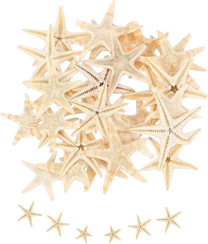 uxcell 30Pcs Starfish for Craft, 0.4"-0.8" Small Natural Starfish Sea Star Crafting Seashells Bulk for Wedding Beach Theme Party Decorations Home Vase DIY Crafts Decor, Pink in Kuwait