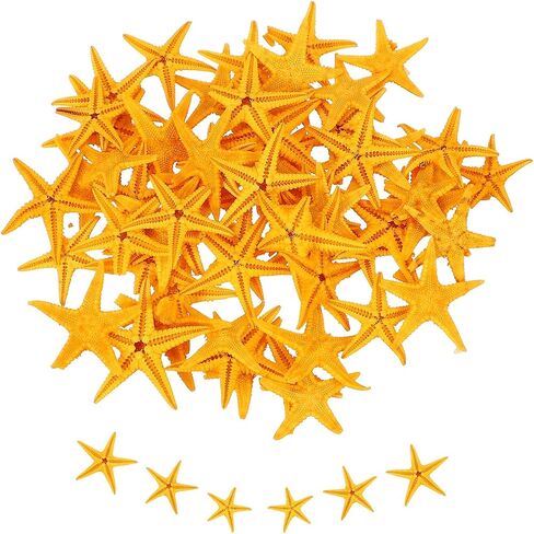 uxcell 30Pcs Starfish for Craft, 0.4"-0.8" Small Natural Starfish Sea Star Crafting Seashells Bulk for Wedding Beach Theme Party Decorations Home Vase DIY Crafts Decor, Pink in Kuwait