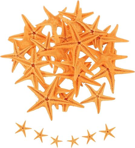 uxcell 30Pcs Starfish for Craft, 0.4"-0.8" Small Natural Starfish Sea Star Crafting Seashells Bulk for Wedding Beach Theme Party Decorations Home Vase DIY Crafts Decor, Pink in Kuwait