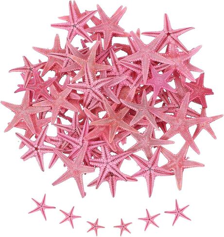 uxcell 30Pcs Starfish for Craft, 0.4"-0.8" Small Natural Starfish Sea Star Crafting Seashells Bulk for Wedding Beach Theme Party Decorations Home Vase DIY Crafts Decor, Pink in Kuwait