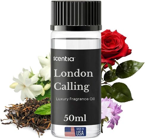 Scentia Santal Premium Sandalwood Fragrance Oil for Diffusers – Luxury Woody Home Scent with Cardamom, Amber & Musk,Baccarat Inspired – Cold Air & HVAC Diffuser Oil Refill – 120 ml (4.06 fl oz) in Saudi Arabia