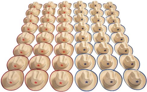 Fun Express Bulk Adult Cowboy Hats with Star Accents - Western -Themed Apparel Accessories for Parties Costumes and Themed Events - Perfect for Western Rodeo and Fiesta Celebrations - 48 Pieces in Kuwait