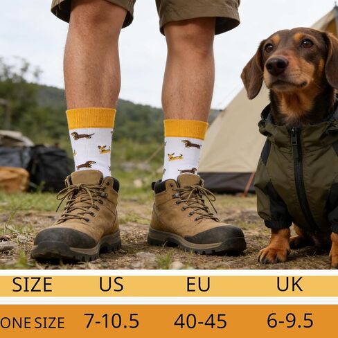 جوارب Dachshund للرجال مكونة من 5 جوارب مضحكة للكلاب من Wiener، جوارب قطنية جديدة للكلاب للرجال، هدايا Dachshund لمحبي الكلاب in Kuwait