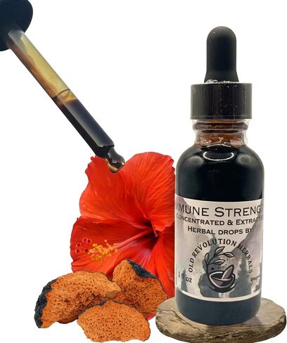 Chaga Super Immune | 100% Organic & Handmade Low Alcohol Herbal Drops | Travel & Daily Immunity Formula |Elderberry, Echinacea, Chaga Mushroom Hibiscus & More | Advanced Extract & Concentrate in Saudi Arabia