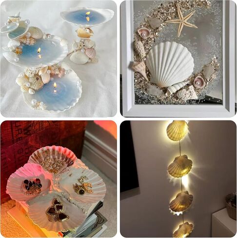 2PCS Large Natural Sea Shells for Crafting 5.5"- 6" White Scallop Shells for Home Decor-Wonder Shell for DIY Arts and Crafts, Baking and Beach Wedding Decorations Ocean Crafts for Gifts in Saudi Arabia