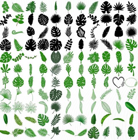 باقة أوراق استوائية 130+ تصميم | Dxf Eps SVG Png Pdf تنسيق الملف القابل للطباعة | تحميل رقمي فوري | ديكور المنزل طباعة الملابس الفن والحرف إطار الأزهار جدار الفن ناقلات 0056 in Kuwait