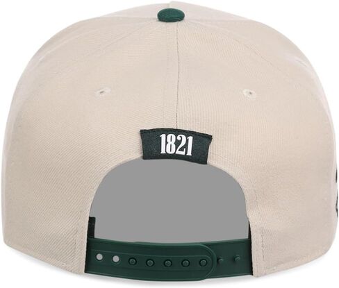 Rings & Crwns Mexico Country Pride A-Frame Adjustable Snapback Cap (Chrome/Green, One Size) in Saudi Arabia