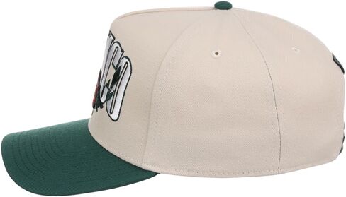 Rings & Crwns Mexico Country Pride A-Frame Adjustable Snapback Cap (Chrome/Green, One Size) in Saudi Arabia