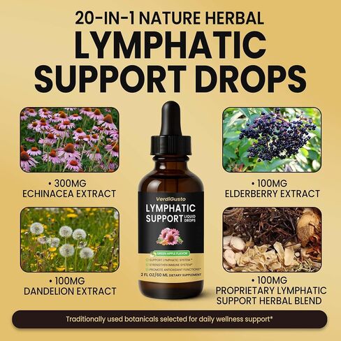 Lymphatic Support Drops, Lymphatic Supplement | Echinacea, Elderberry & Dandelion | Supports Lymphatic Health, Immune Wellness & Antioxidant Support | Non-GMO, Green Apple Flavor | 2 fl oz in Saudi Arabia