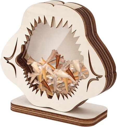 PH PandaHall Shark Tooth Holder Wooden Shadow Box 5.3x5.9 inch Natural Wood Shark Teeth Display Case with Clear Window for Coastal Beach Room Bedroom Home Decoration Gift for Collectors in Kuwait