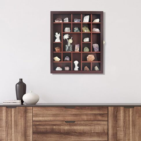 FramePro Rock Display Case - Adjustable Mineral Collection Box with Glass Lid, Wooden Cabinet for Rock, Fossil, Crystal, Seashell Collections - Geology Gift for Adults/Kids (16" x 13.5", Brown) in Saudi Arabia