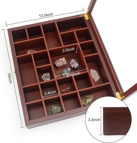 FramePro Rock Display Case - Adjustable Mineral Collection Box with Glass Lid, Wooden Cabinet for Rock, Fossil, Crystal, Seashell Collections - Geology Gift for Adults/Kids (16" x 13.5", Brown) in Saudi Arabia