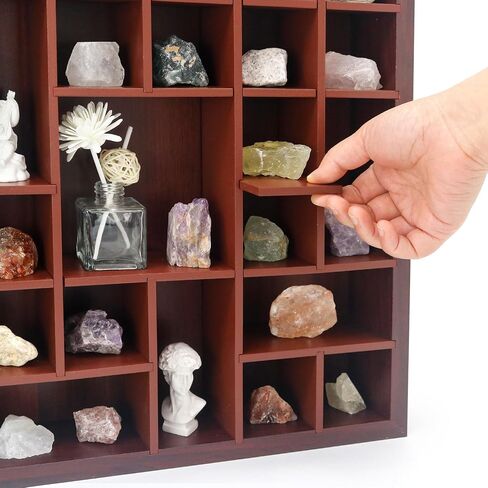 FramePro Rock Display Case - Adjustable Mineral Collection Box with Glass Lid, Wooden Cabinet for Rock, Fossil, Crystal, Seashell Collections - Geology Gift for Adults/Kids (16" x 13.5", Brown) in Saudi Arabia